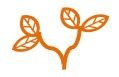 Two branches with two leaves each all in orange colour.